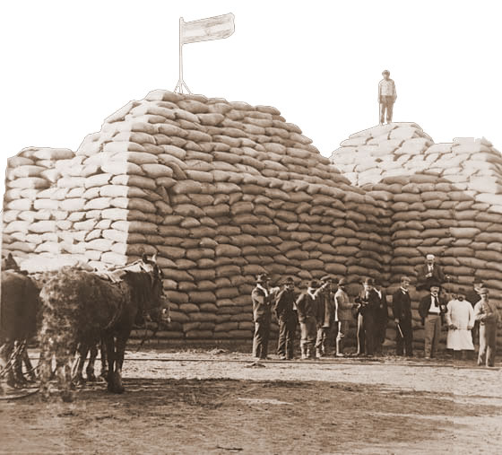 ventas en el campo